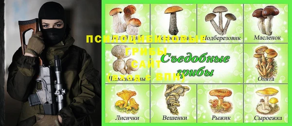 a pvp Алексеевка