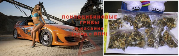 дмт Алексин