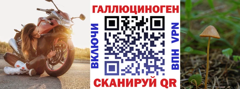 Псилоцибиновые грибы ЛСД  наркошоп  Качканар 